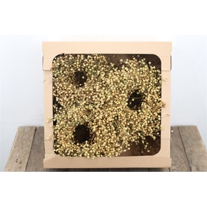 Wr Vlas 20cm Natural