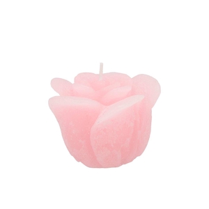 Candle Rose White Pink 8x7cm