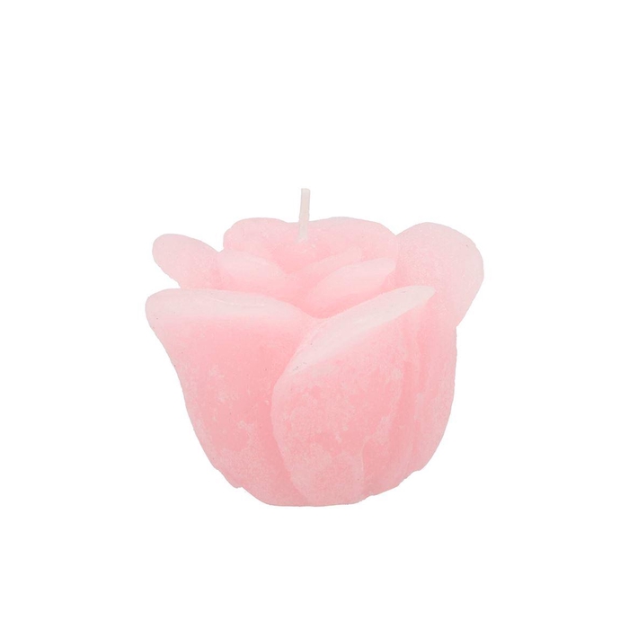<h4>Candle Roos White Pink 8x7cm</h4>