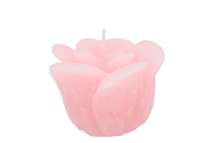 <h4>Candle Rose White Pink 8x7cm</h4>