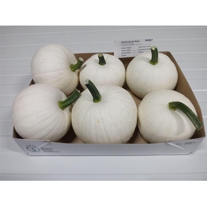 Sier Cuc P Snowball X6