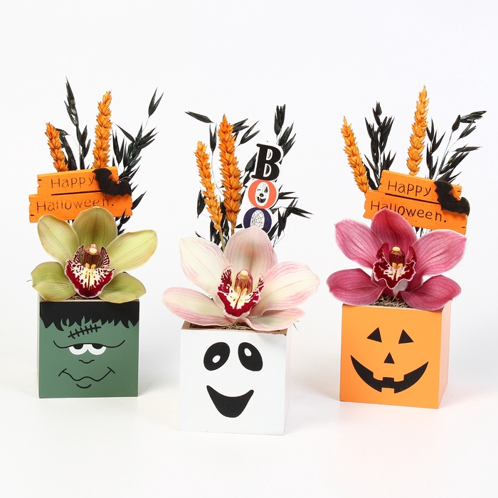 <h4>CYMB VERPAKT P BLOEM 1210</h4>