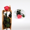 Roos op steel mini dark pink bulk