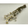 Dried Acroclinium Nat White Bunch