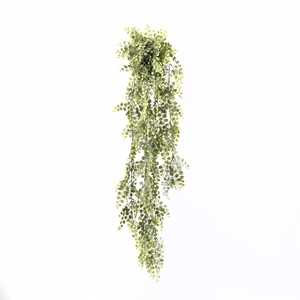 Button Leaf Hanging Plant in Pot Green GR110053GRN