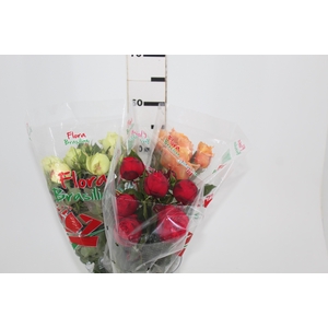 ROSA GARDEN PIANO LINE VARIADA 050 CM
