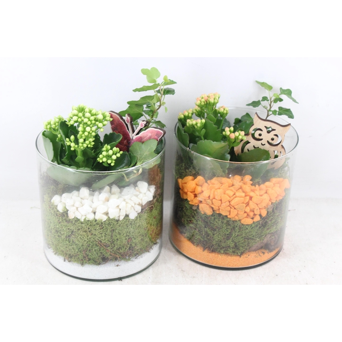 <h4>Arr2 Pl - Glas Cilinder 15x15 - Oranje/wit</h4>