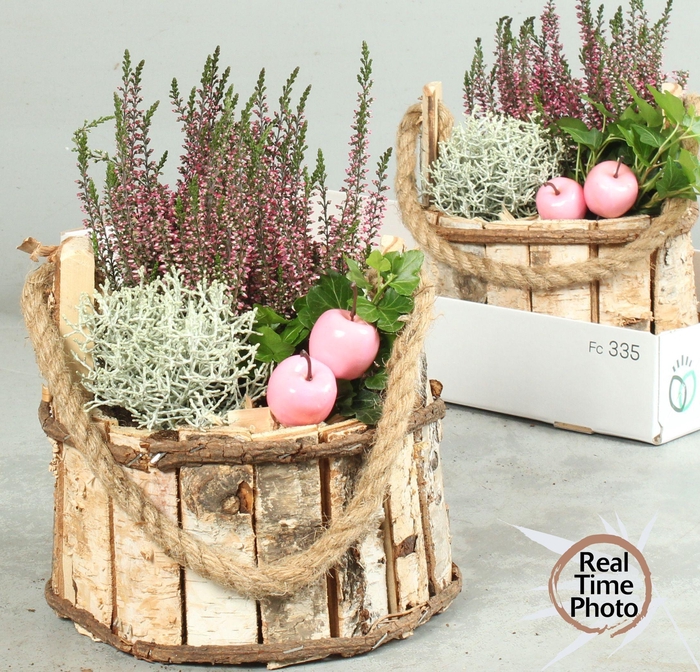 <h4>ARR TUINPLANTEN</h4>