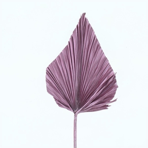 Dried Palm Spear Metallic Pink