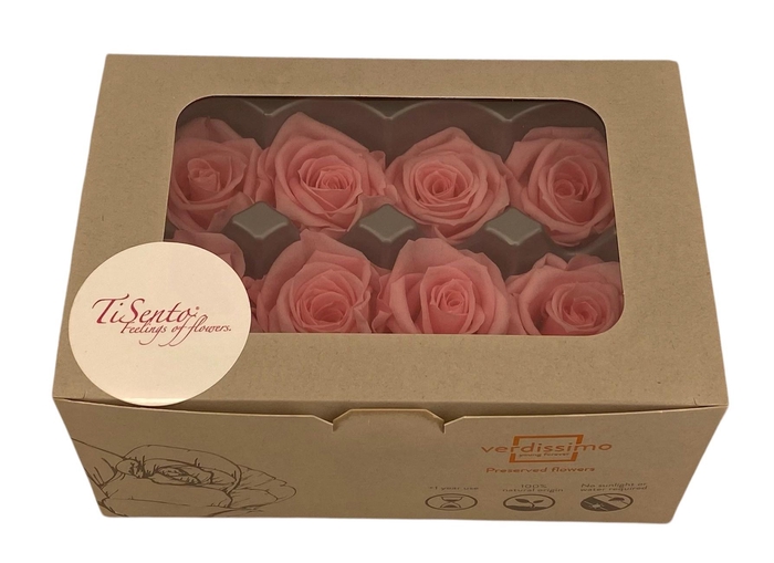 <h4>ARR ROSA POT H%</h4>