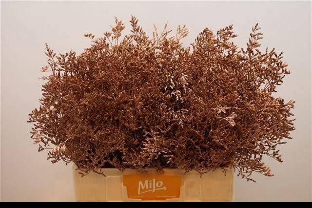 <h4>LIM OV KLB H%</h4>