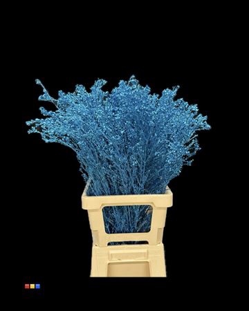 <h4>Waxflower Metallic Blue</h4>