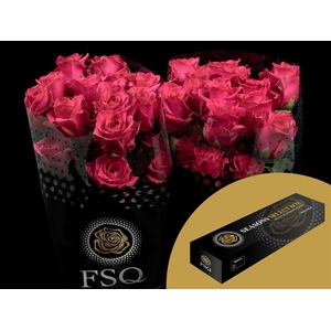 R GR Hot Explorer Box