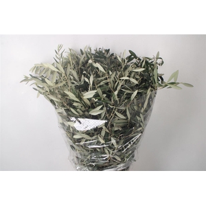 Olijf Per Bunch 400 Gram