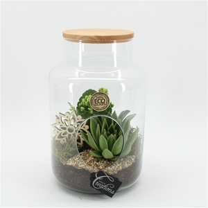 ESCR-2505W Essentials terrarium