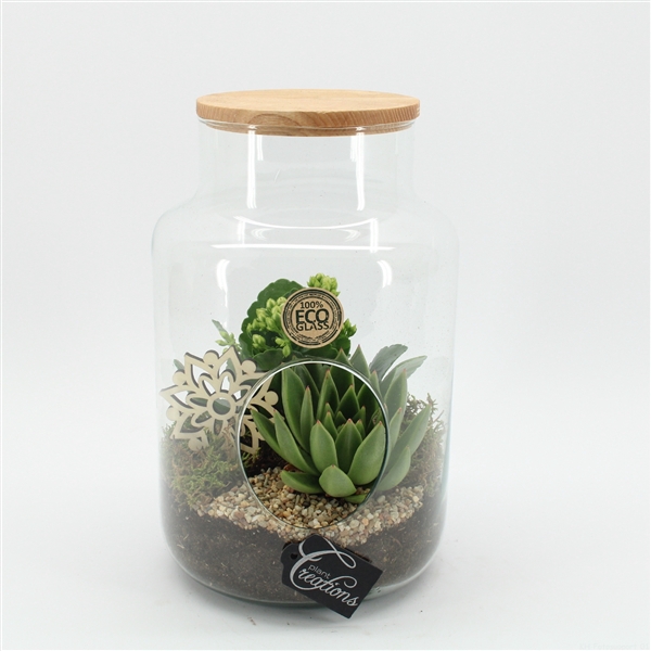 <h4>ESCR-2505W Essentials terrarium</h4>