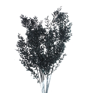 Pres Ruscus Soft Bleached Black Per Stem
