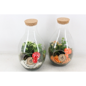 arr2 PL - Glas druppel vaas 999/4 - oranje/wit