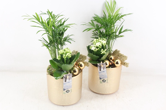 <h4>arr2 JS - Gold pot M x3</h4>