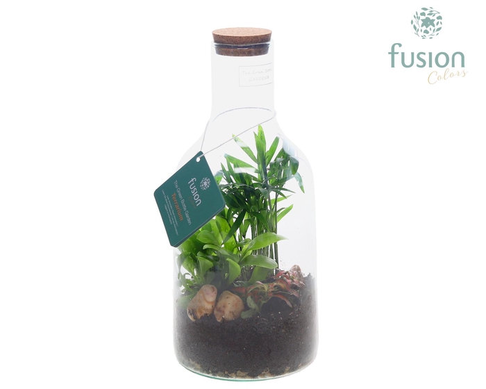 <h4>Green Bottle Fles Small Terrarium met arrangement</h4>
