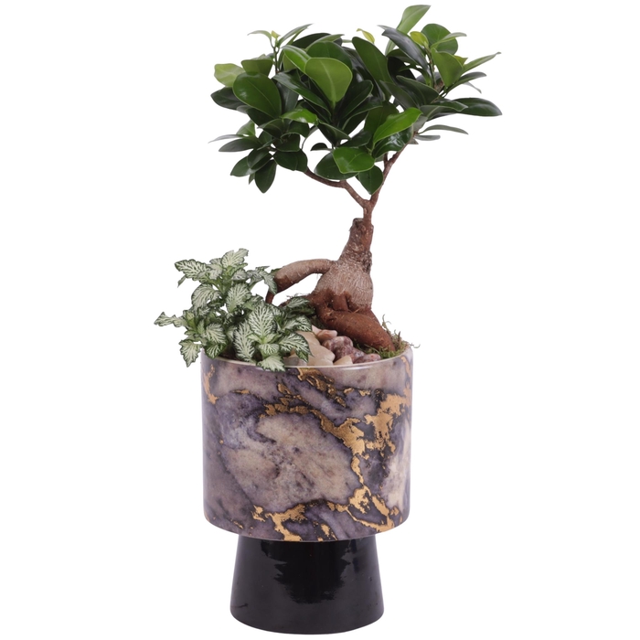 <h4>Yearround Arr. Indoor Ceramic Pure Luxury PL672 Ø14cm 2PP</h4>