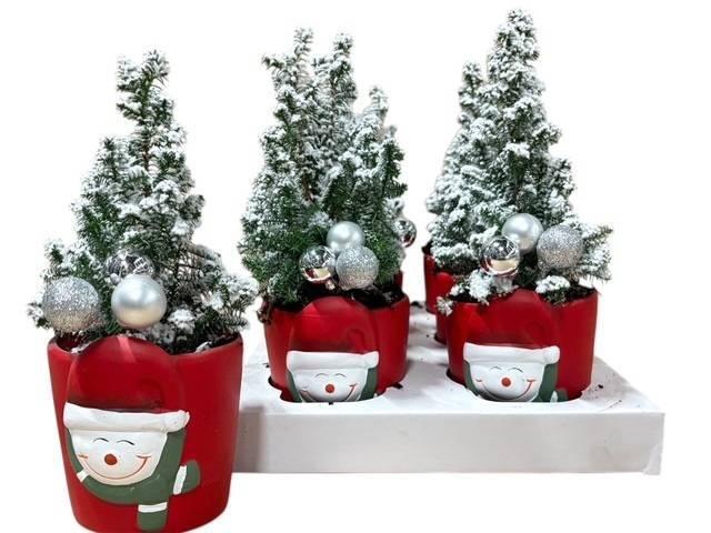 <h4>KERSTBOOM VERSIERD</h4>