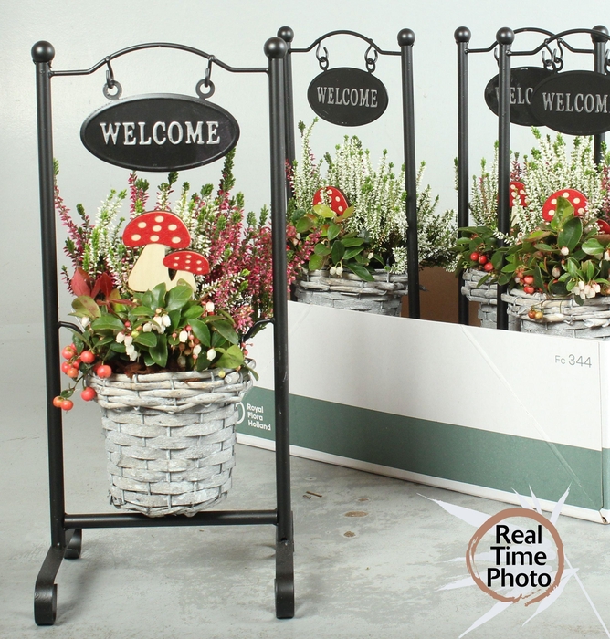 <h4>ARR TUINPLANTEN</h4>