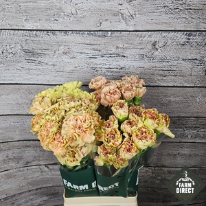 DI ST GEMENGD ANTIQUE IN FUST