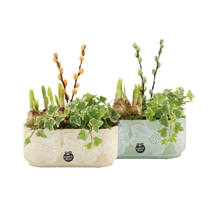 11680: Outdoor spring arrangement