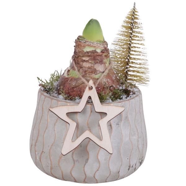<h4>Christmas Arr. Amaryllis Ceramic Pure Luxury N569 Ø12cm 1PP</h4>