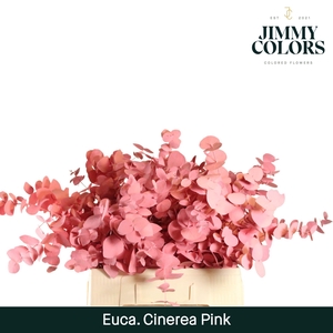 Cinerea per bos 200g Pink