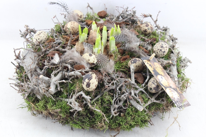 <h4>arr4 Narcis MB - Kunststof plate met krans</h4>