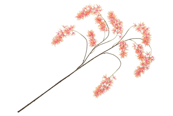 <h4>Silk Wisteria Peach 130cm Nm</h4>