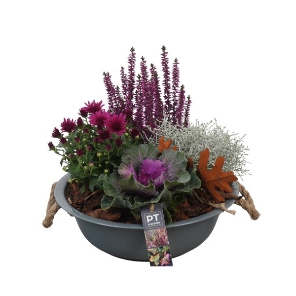 <h4>PTHO4027 Arrangement Herfst Outdoor in metalen schaal</h4>
