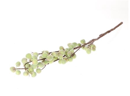 <h4>STEM APPLE FRUIT L70W27H104 green</h4>
