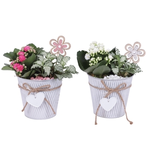 Womensday Arr. Indoor Zinc Grey with Rope & Heart Ø13cm 2PP