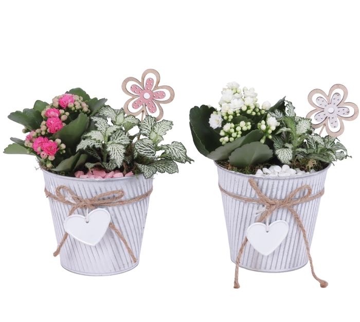 <h4>Womensday Arr. Indoor Zinc Grey with Rope & Heart Ø13cm 2PP</h4>