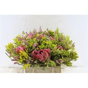 Protea Boeket