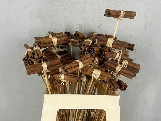 <h4>Stick Cinnamon Possy</h4>