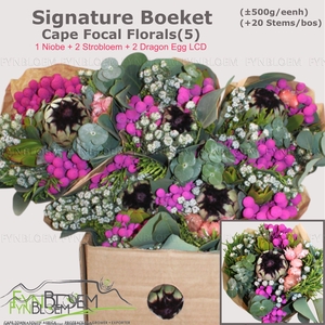 PROTEA PER BOS