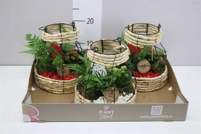 <h4>Arr 9141 Frame Mand Indoor</h4>