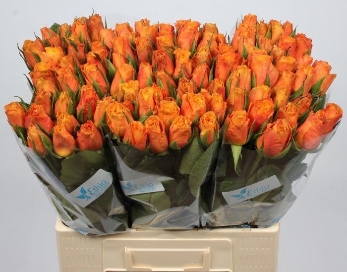 <h4>R GR CONFIDENTIAL</h4>