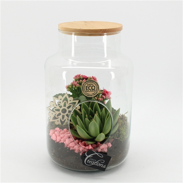 <h4>ESCR-2505RZ Essentials terrarium</h4>