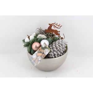 arr5 Kerst MB385 - Ker. bowl silver