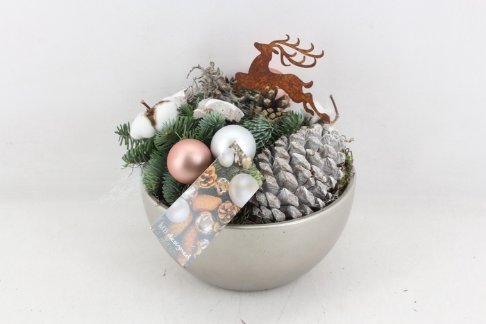 arr5 Kerst MB385 - Ker. bowl silver