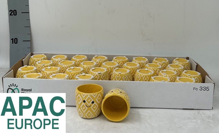 <h4>KERAMISCHE POT H%</h4>