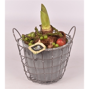 Gaasmand met cement pot gy 18cm