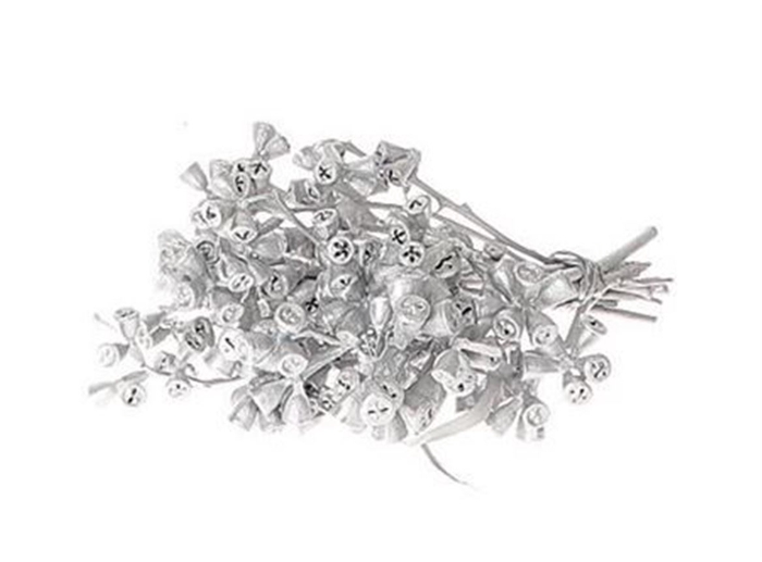 <h4>Deco Bundle Euca Silver</h4>