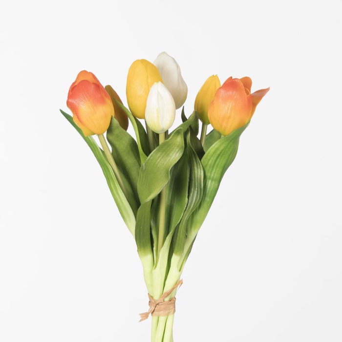 <h4>AF Tulip Bnd x7 L31cm Mx Or/Ye</h4>