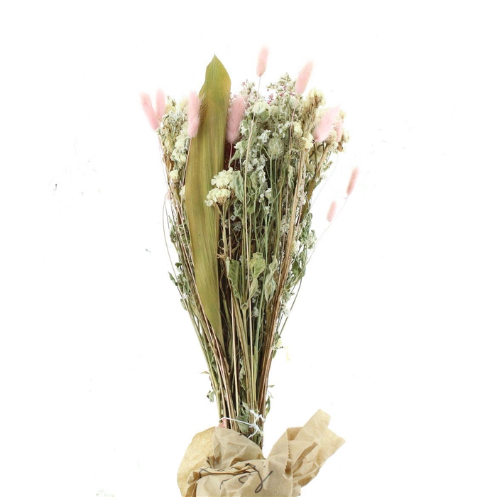 <h4>Dried Bqt White / Pink X 10</h4>